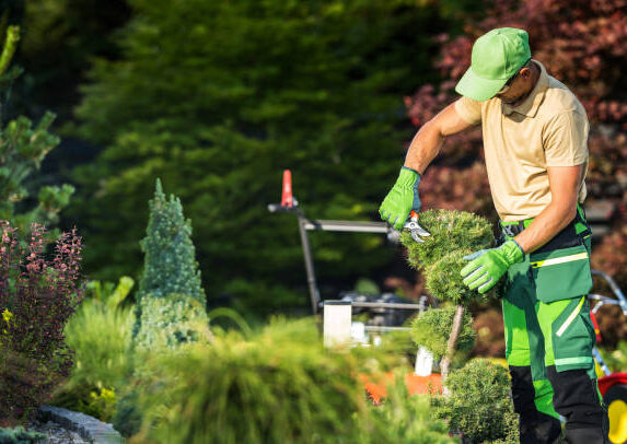 Ratschläge für Gartenarbeiten