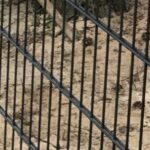 Doppelstabmattenzäune