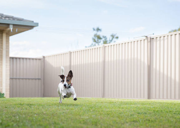 Zaun montieren möchte